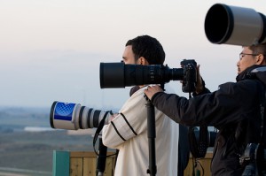 journalistes